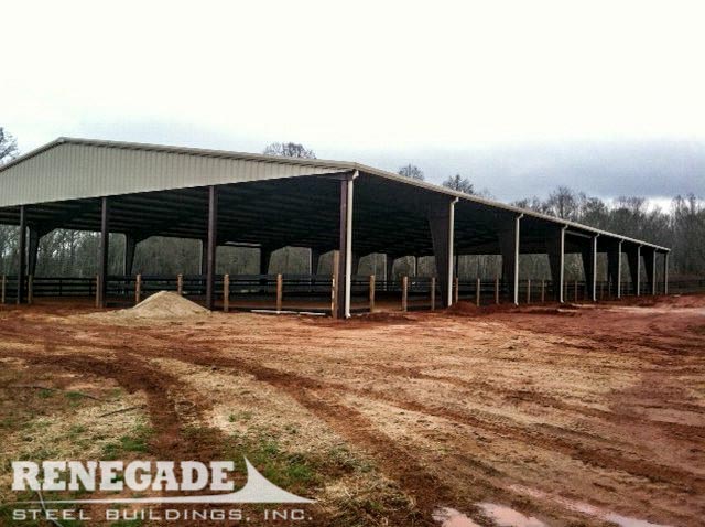 horse riding arena steel building roof only skylights equstrian