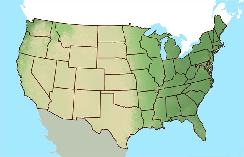 Map of the United States